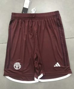 2023/2024 Bayern Munich Third Away Shorts